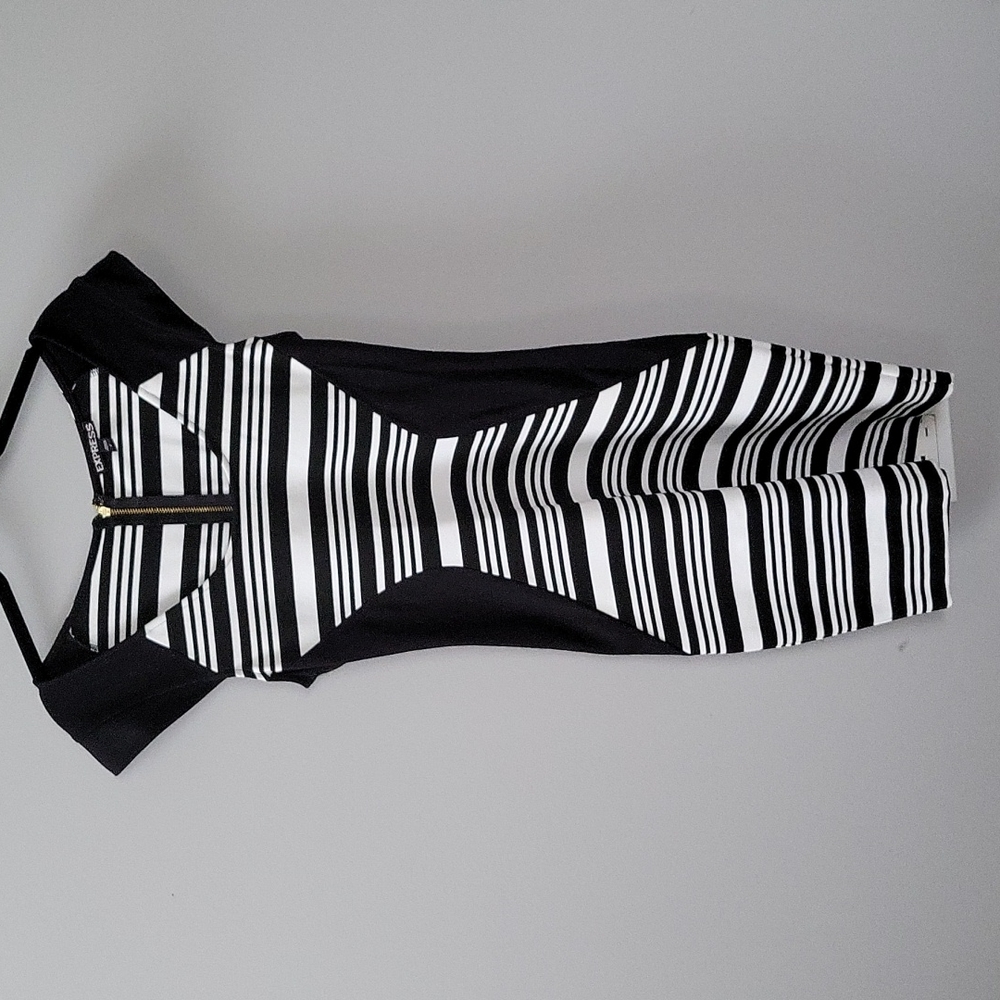 Express bodycon striped dress